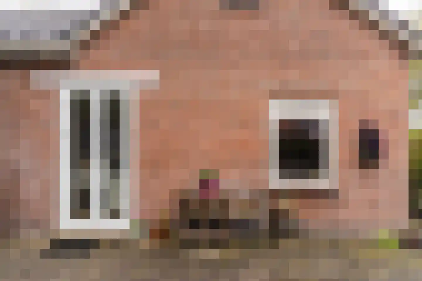 Dom Huybenlaan 27 A Egmond-Binnen thumbnail 35