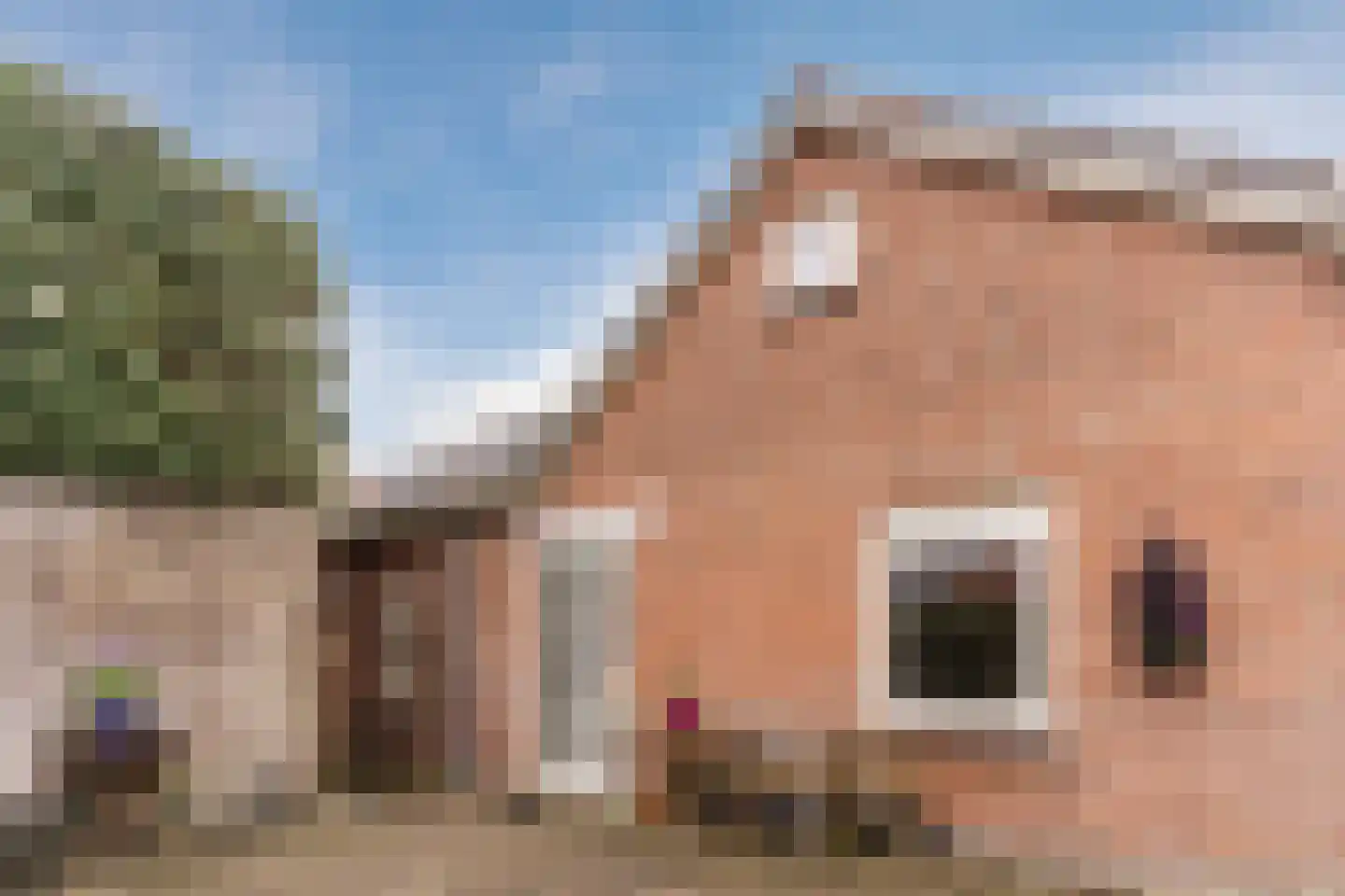 Dom Huybenlaan 27 A Egmond-Binnen thumbnail 36