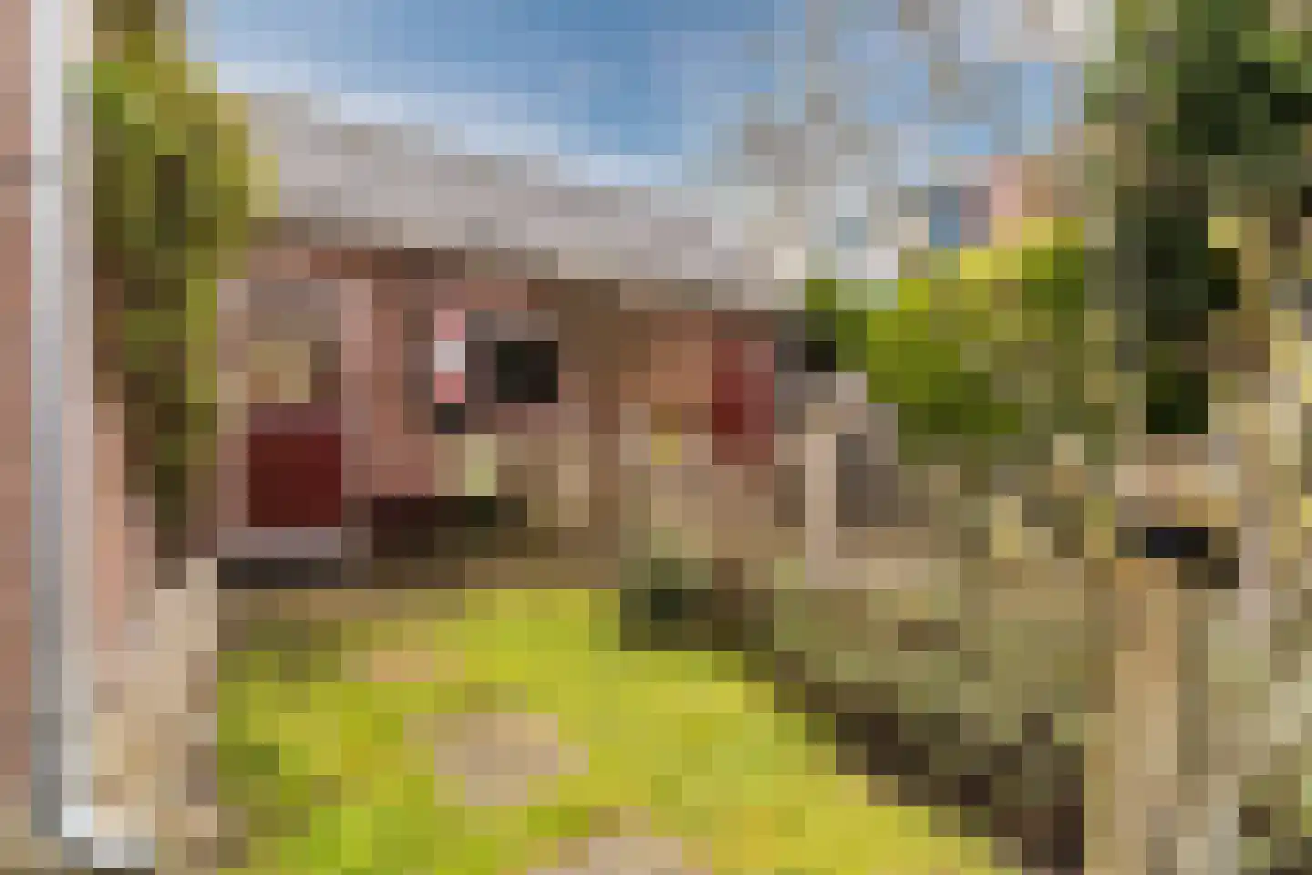 Dom Huybenlaan 27 A Egmond-Binnen thumbnail 6