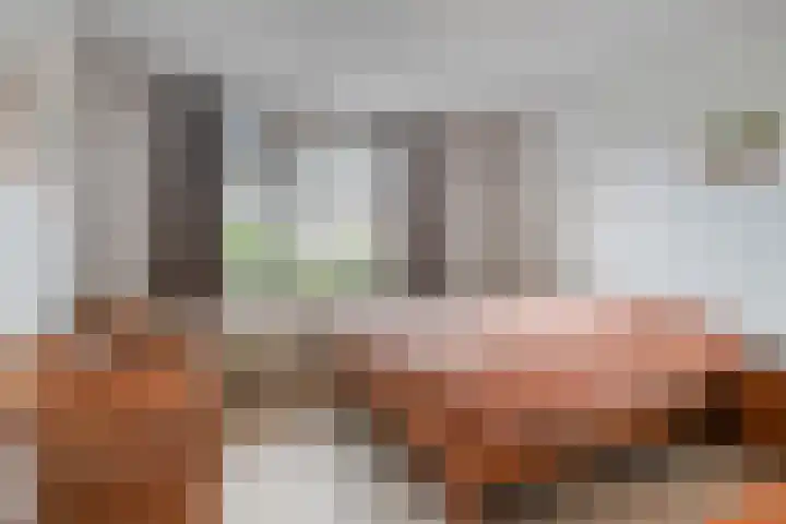 Dom Paul Bellotweg 10 Eindhoven thumbnail 20