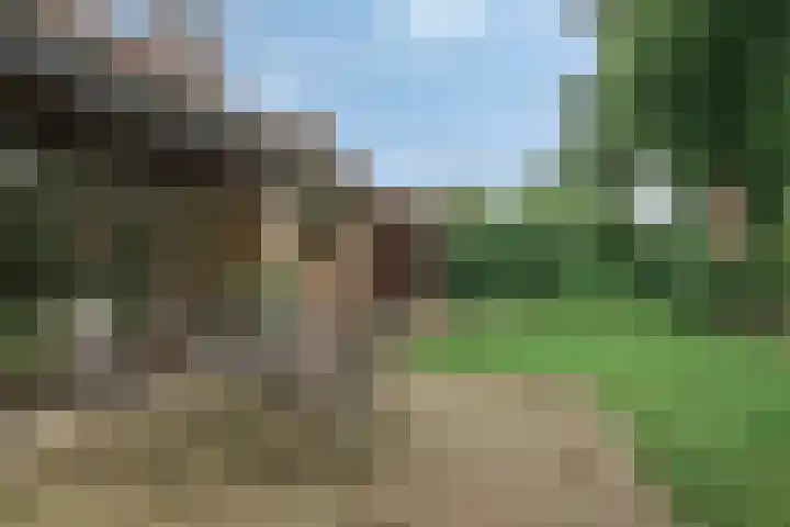 Dom Paul Bellotweg 10 Eindhoven thumbnail 24