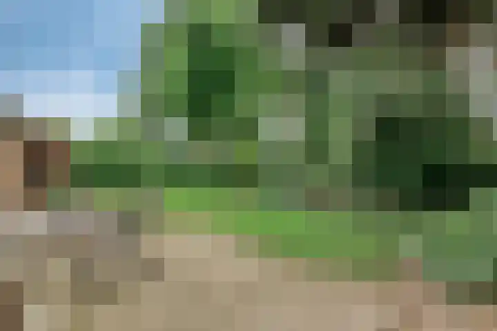 Dom Paul Bellotweg 10 Eindhoven thumbnail 40