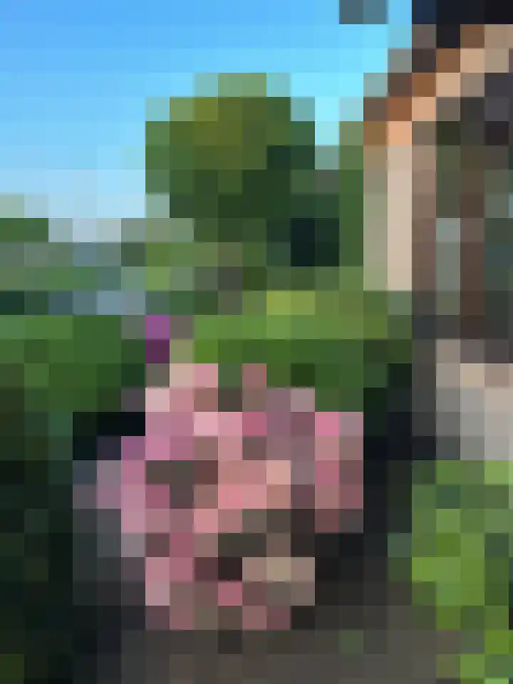 Dom Paul Bellotweg 10 Eindhoven thumbnail 42