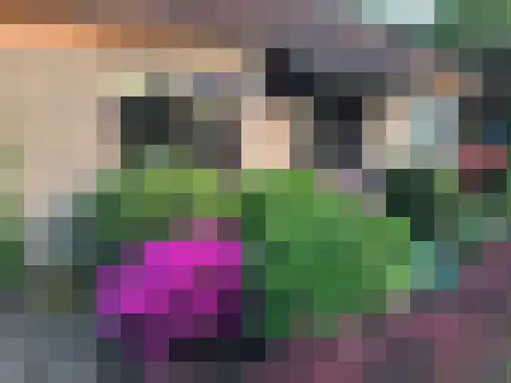 Dom Paul Bellotweg 10 Eindhoven thumbnail 43