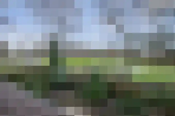 Dom Paul Bellotweg 10 Eindhoven thumbnail 45
