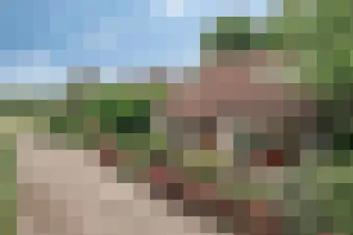 Dom Paul Bellotweg 10 Eindhoven thumbnail 8