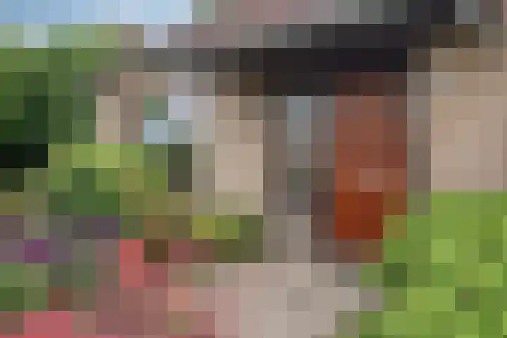 Dom Paul Bellotweg 10 Eindhoven thumbnail 9