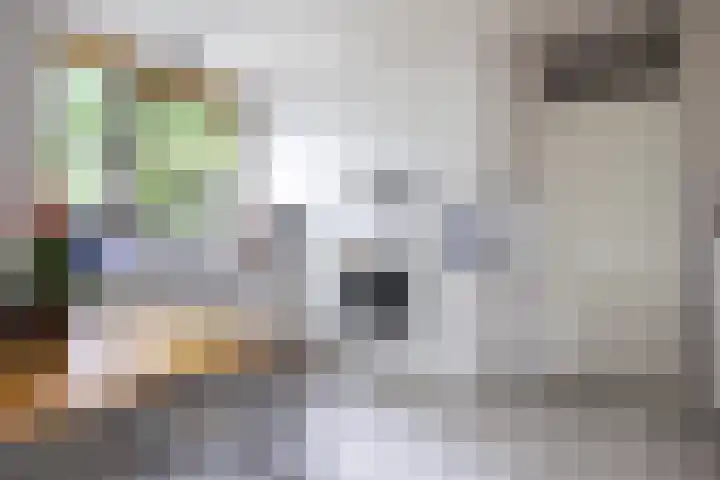 Dom Paul Bellotweg 12 Eindhoven thumbnail 16