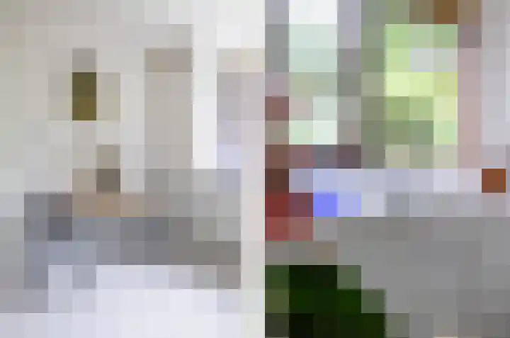 Dom Paul Bellotweg 12 Eindhoven thumbnail 17