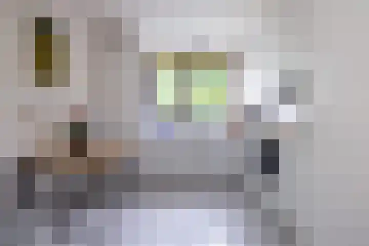 Dom Paul Bellotweg 12 Eindhoven thumbnail 18