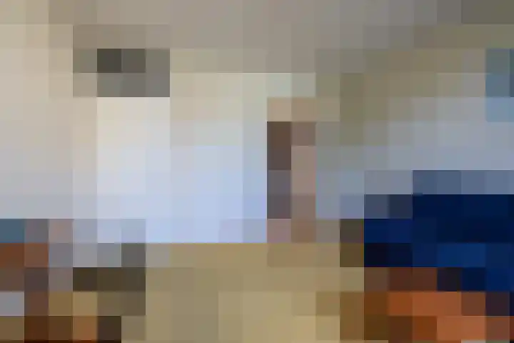 Dom Paul Bellotweg 12 Eindhoven thumbnail 20