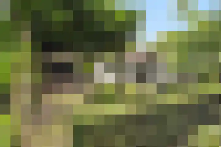 Dom Paul Bellotweg 12 Eindhoven thumbnail 22