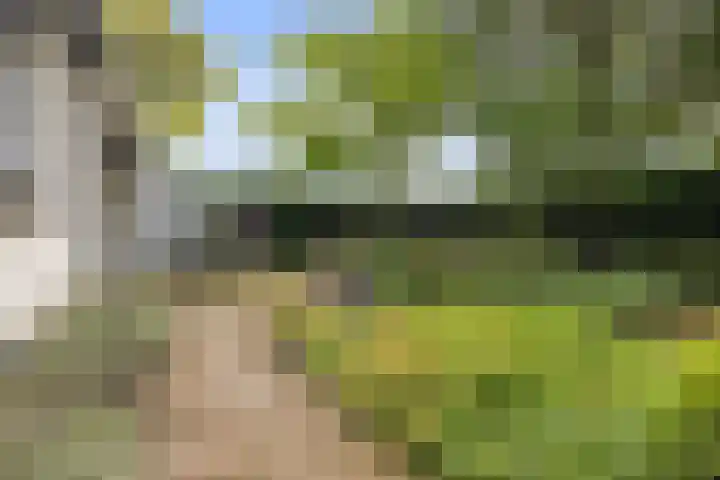 Dom Paul Bellotweg 12 Eindhoven thumbnail 23