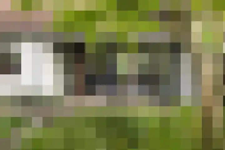 Dom Paul Bellotweg 12 Eindhoven thumbnail 24