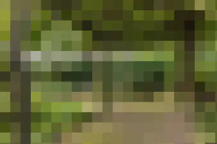 Dom Paul Bellotweg 12 Eindhoven thumbnail 25