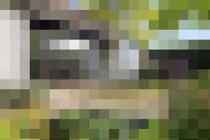 Dom Paul Bellotweg 12 Eindhoven thumbnail 26