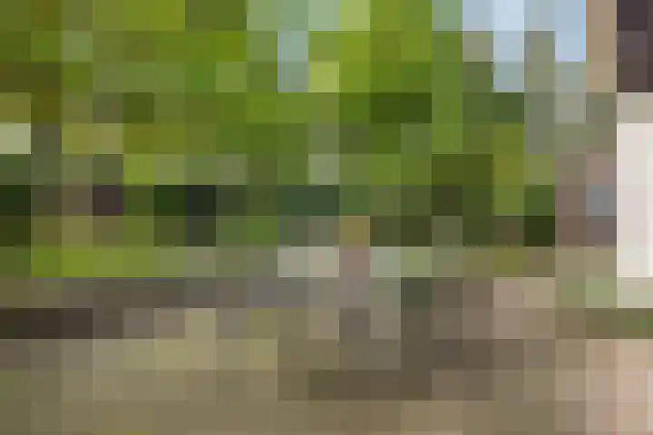 Dom Paul Bellotweg 12 Eindhoven thumbnail 28