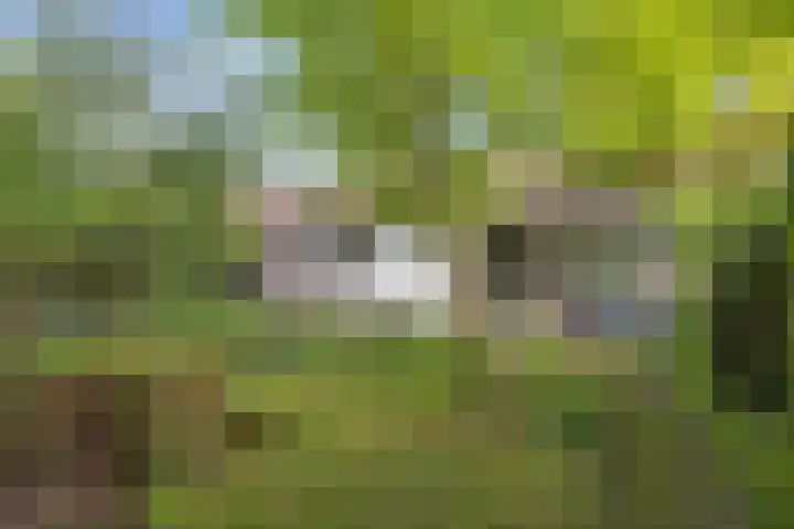 Dom Paul Bellotweg 12 Eindhoven thumbnail 29