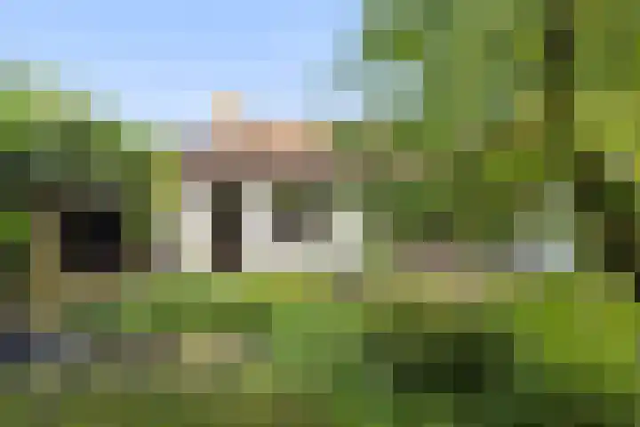 Dom Paul Bellotweg 12 Eindhoven thumbnail 31