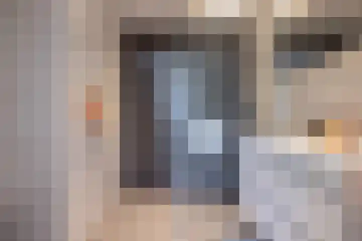 Dom Paul Bellotweg 12 Eindhoven thumbnail 4