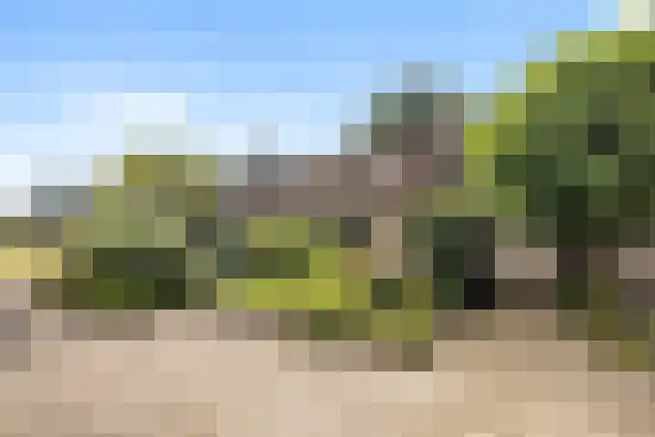 Dom Paul Bellotweg 12 Eindhoven thumbnail 42
