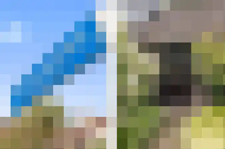 Dom Paul Bellotweg 12 Eindhoven thumbnail 43