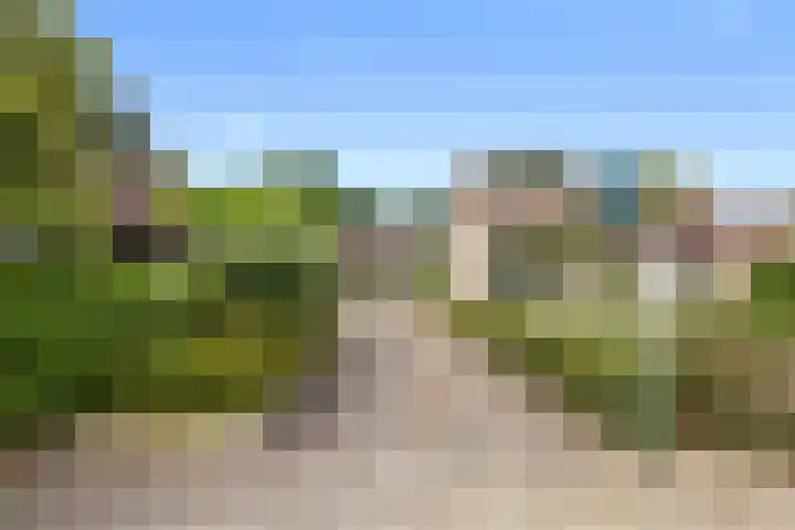 Dom Paul Bellotweg 12 Eindhoven thumbnail 44