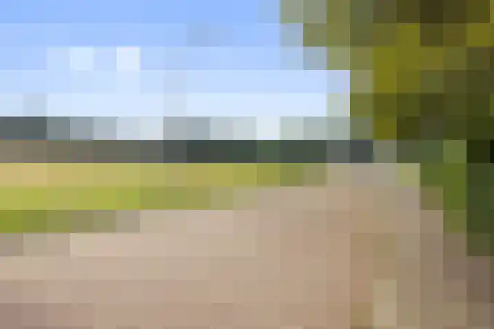 Dom Paul Bellotweg 12 Eindhoven thumbnail 46