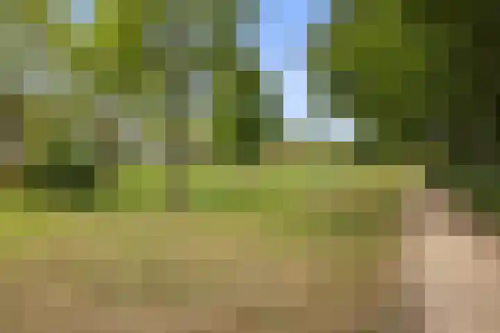 Dom Paul Bellotweg 12 Eindhoven thumbnail 47