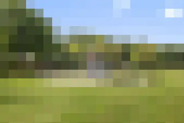 Dom Paul Bellotweg 12 Eindhoven thumbnail 48