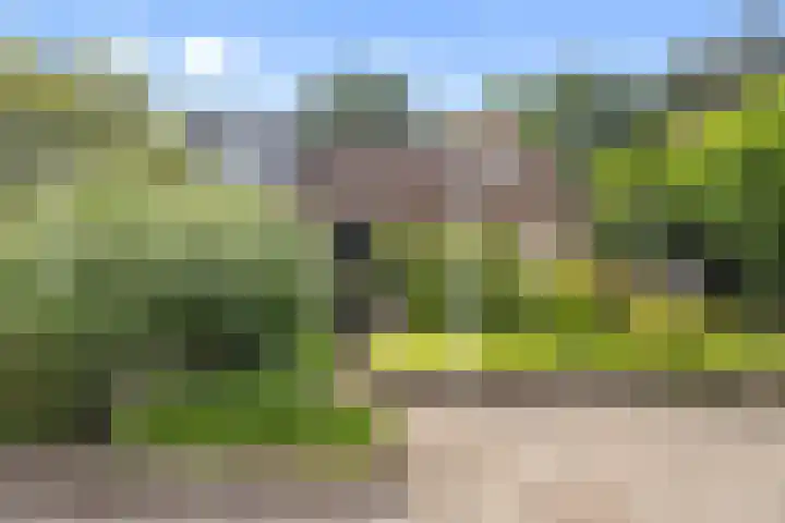 Dom Paul Bellotweg 12 Eindhoven thumbnail 5