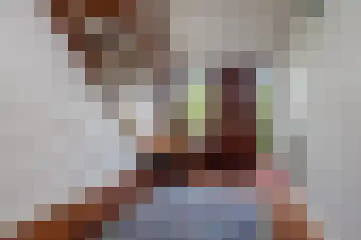 Dom Paul Bellotweg 12 Eindhoven thumbnail 7