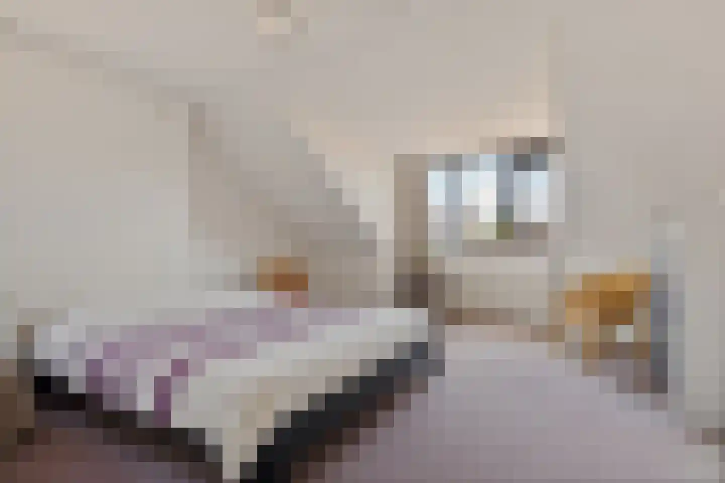 Dom Paul Bellotweg 2 Eindhoven thumbnail 27