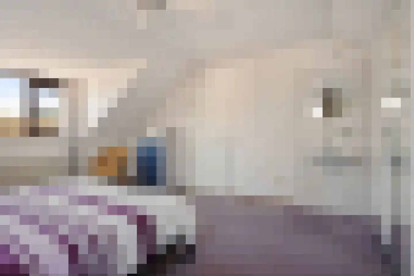 Dom Paul Bellotweg 2 Eindhoven thumbnail 28