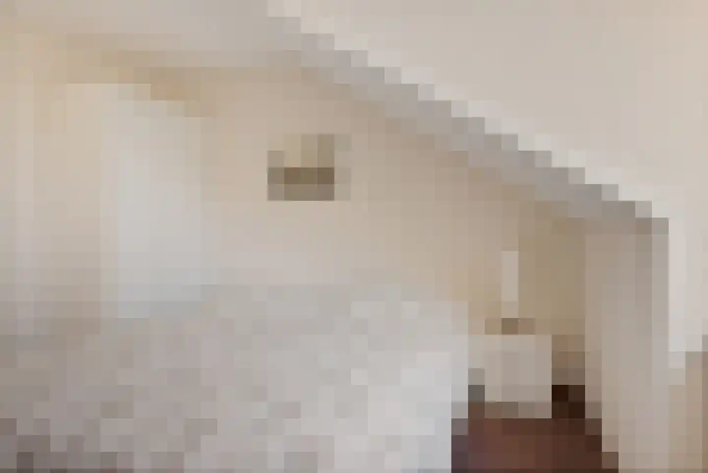 Dom Paul Bellotweg 2 Eindhoven thumbnail 31
