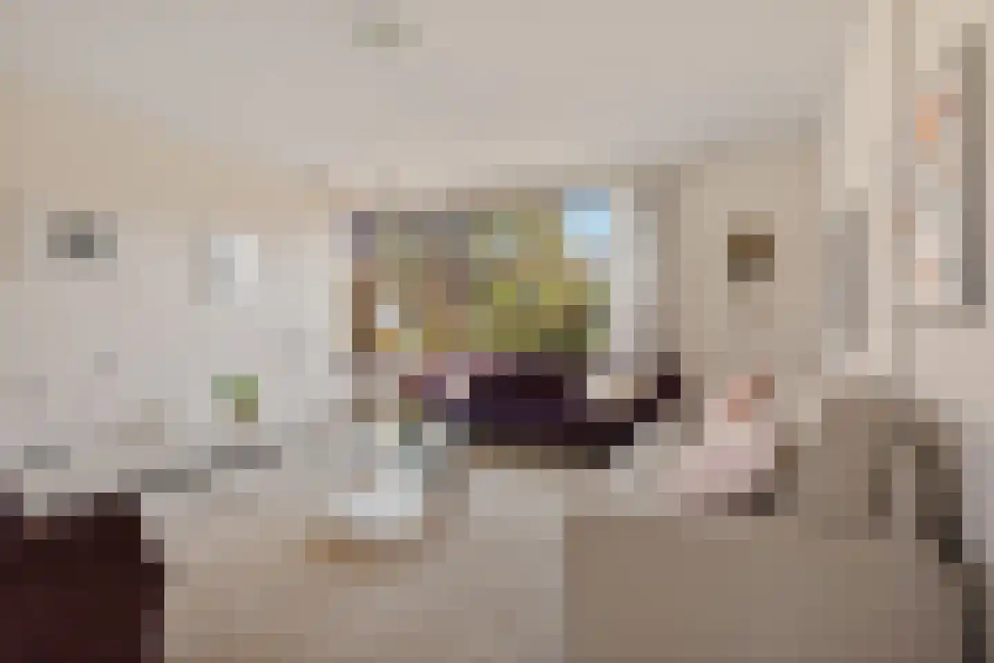 Dom Paul Bellotweg 2 Eindhoven thumbnail 7