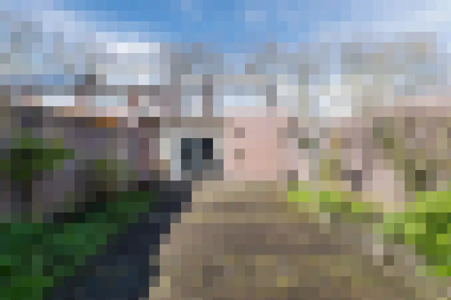 Dom S. Dubuissonstraat 17 Berkel-Enschot thumbnail 36