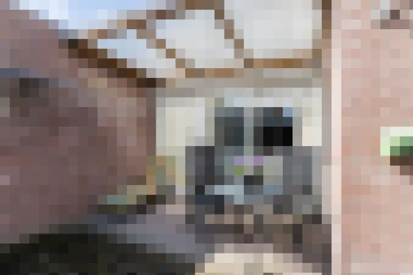 Dom S. Dubuissonstraat 17 Berkel-Enschot thumbnail 37