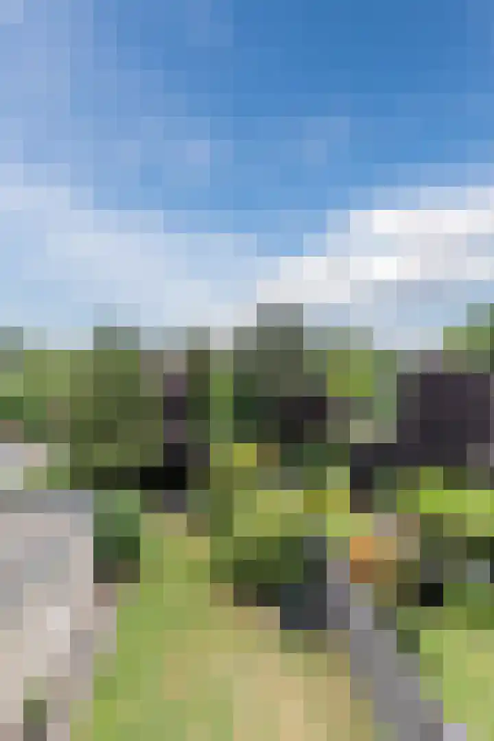 Dom S. Dubuissonstraat 52 Berkel-Enschot thumbnail 4