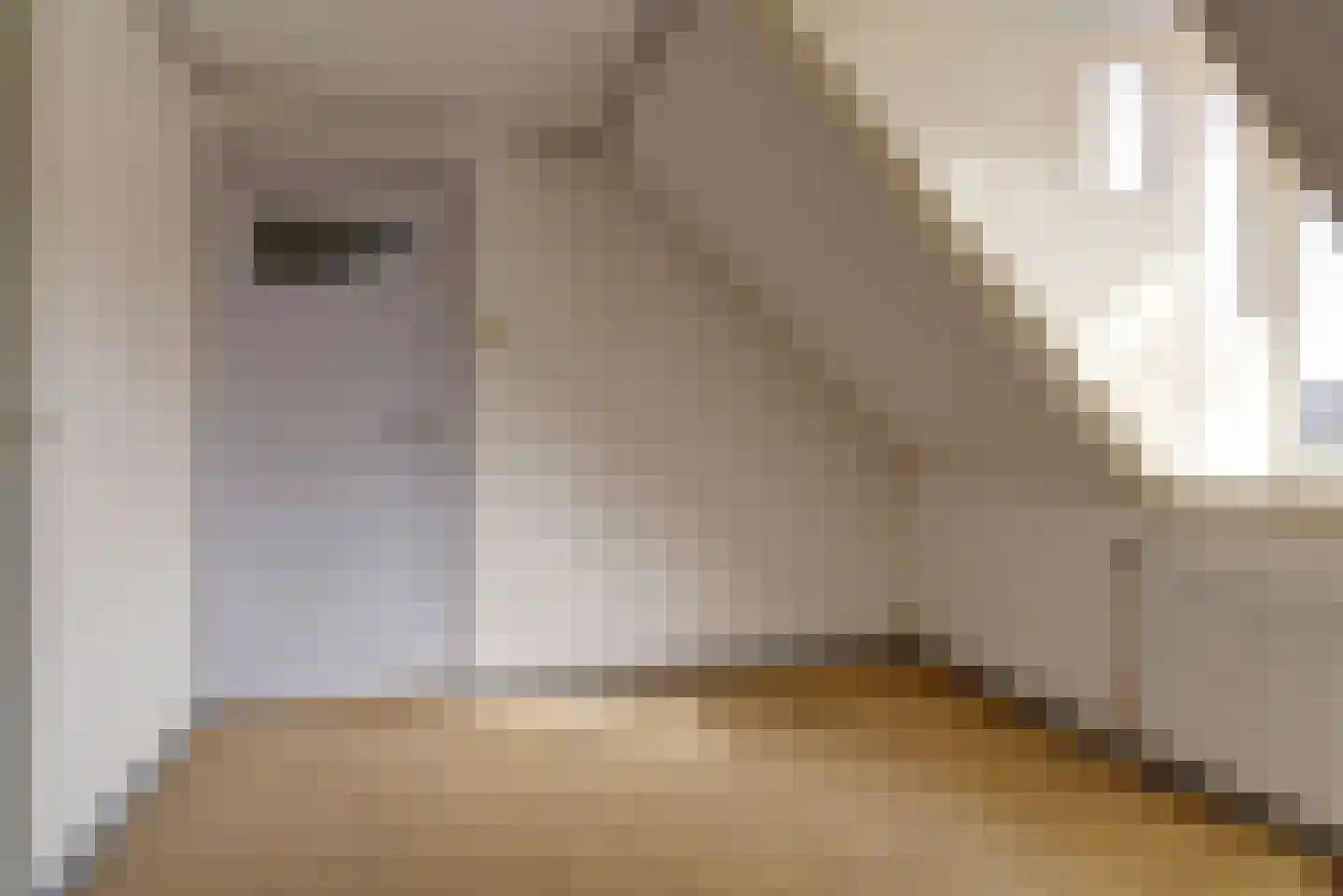 Domakkerstraat 15 Haalderen thumbnail 14