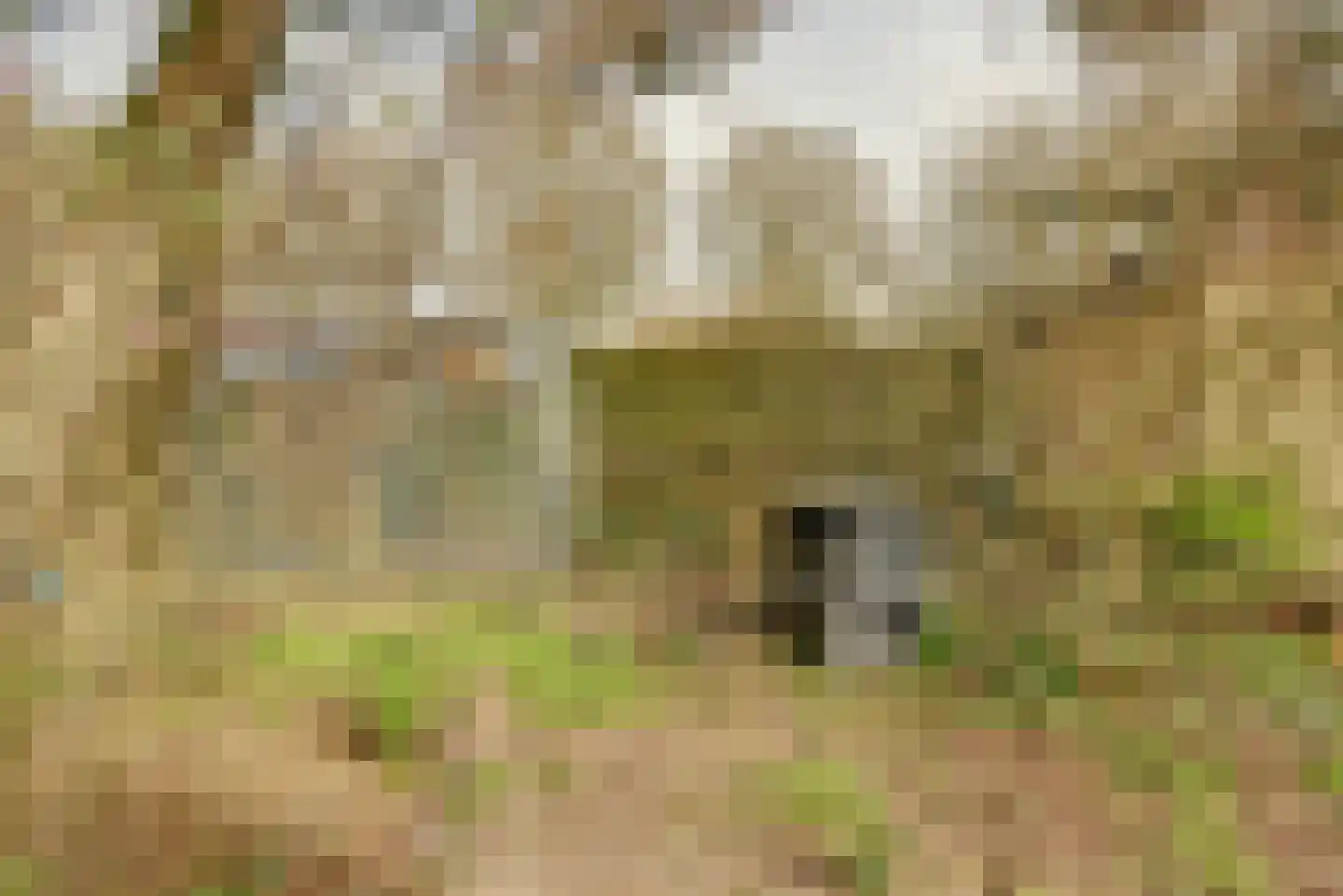 Domakkerstraat 15 Haalderen thumbnail 25