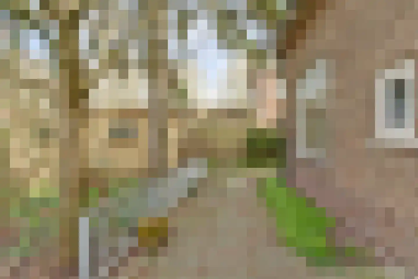 Domakkerstraat 15 Haalderen thumbnail 27