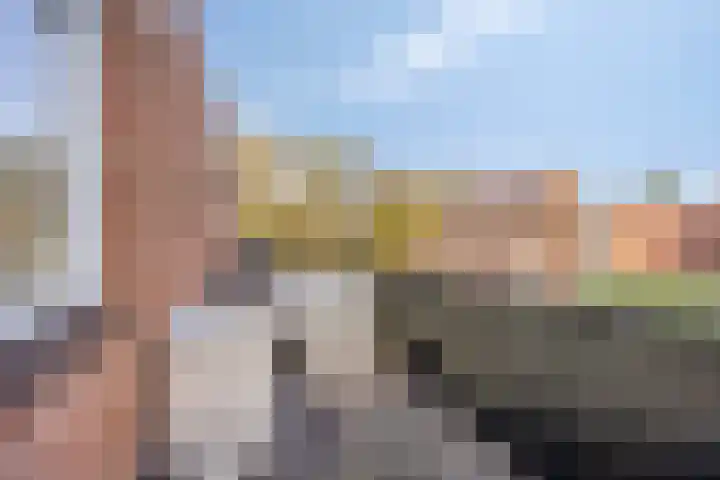 Domburgpad 19 Arnhem thumbnail 18