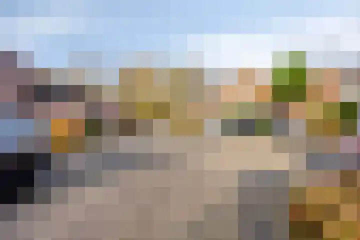 Domburgpad 19 Arnhem thumbnail 35