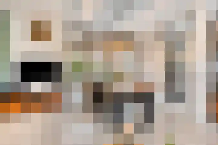 Domburgpad 46 Arnhem thumbnail 10