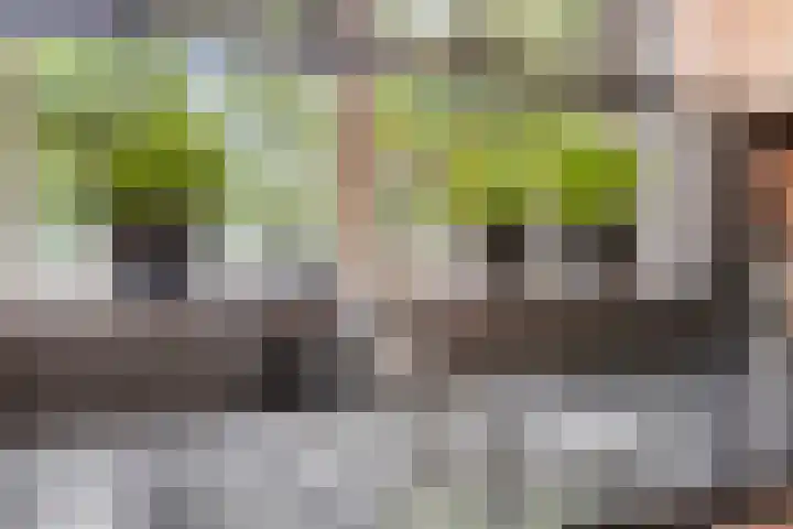 Domburgpad 46 Arnhem thumbnail 12