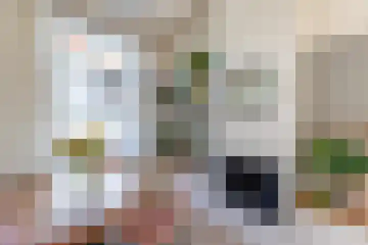 Domburgs Schuitvlot 13 Middelburg thumbnail 10