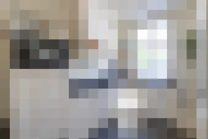 Domburgs Schuitvlot 13 Middelburg thumbnail 12