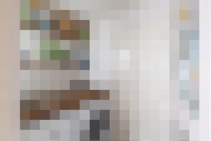Domburgs Schuitvlot 13 Middelburg thumbnail 16