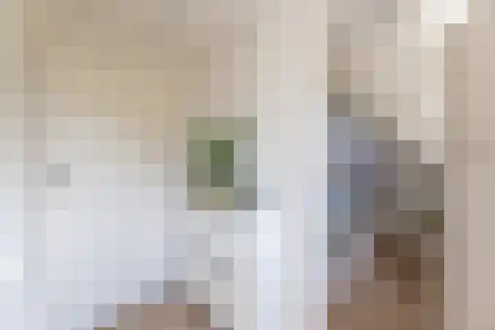 Domburgs Schuitvlot 13 Middelburg thumbnail 22